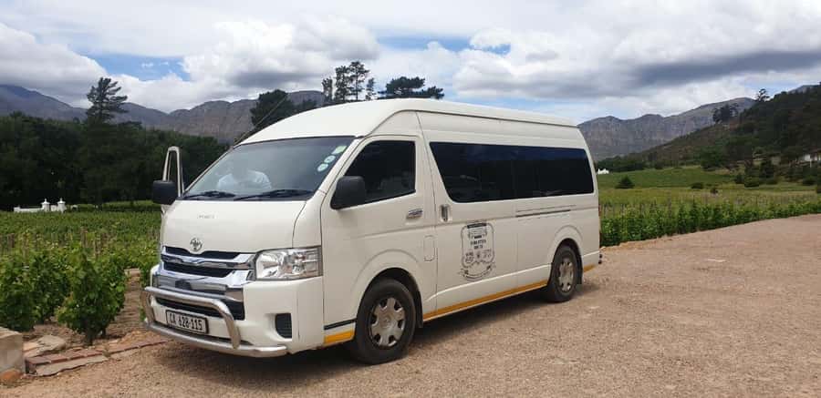 From Cape Town: Stellenbosch Four Estate Full-Day Wine Tour - Who This Tour Suits Best