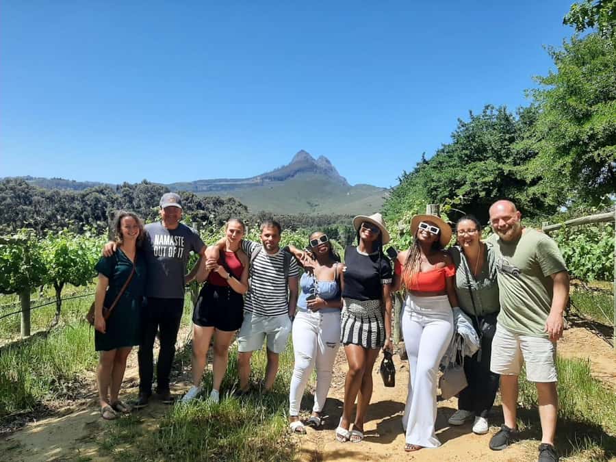 From Cape Town: Stellenbosch Four Estate Full-Day Wine Tour - Meeting Point and the Van: Pickup Timing in Cape Town and Stellenbosch