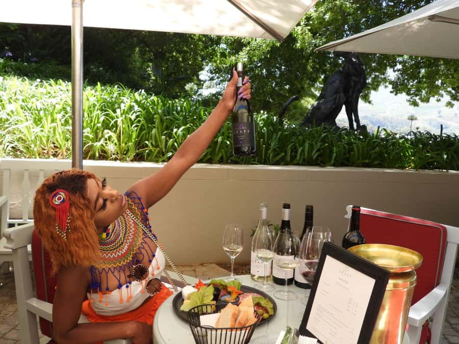 From Cape Town: Stellenbosch & Franschhoek Wine Tasting Tour - Delheim Estate: A Family-Run Wine Stop Plus the Lunch Option That Makes the Day Complete