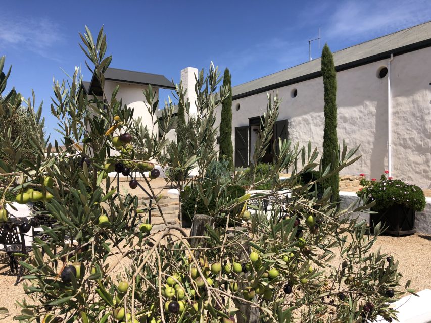 From Cape Town: Wildlife Safari, Olive, Beer & Wine Tasting - Handmade toffees in Darling: the sweet reset