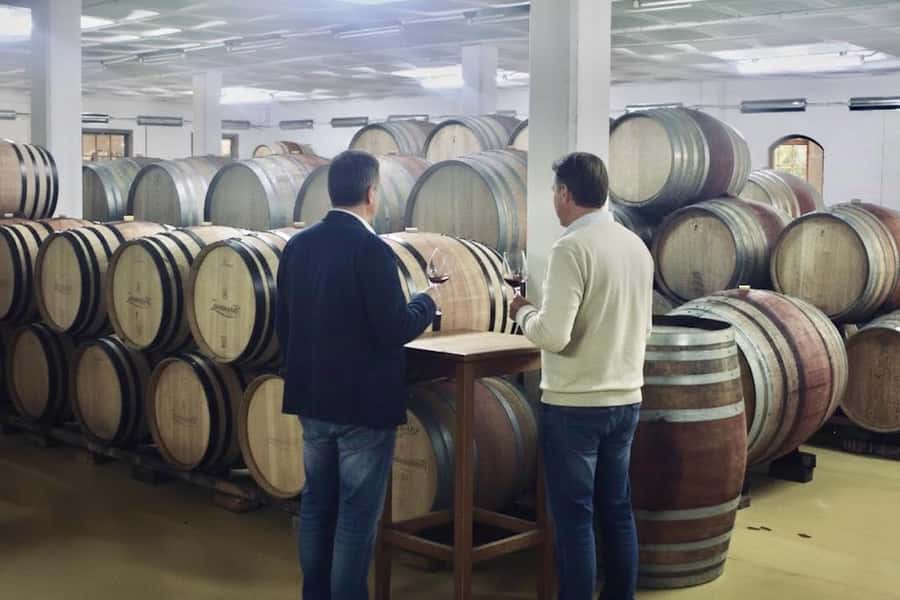 From Cape Town: Winelands Full Day Tour and Wine Tasting - How to handle the tastings: pace, questions, and smart buying