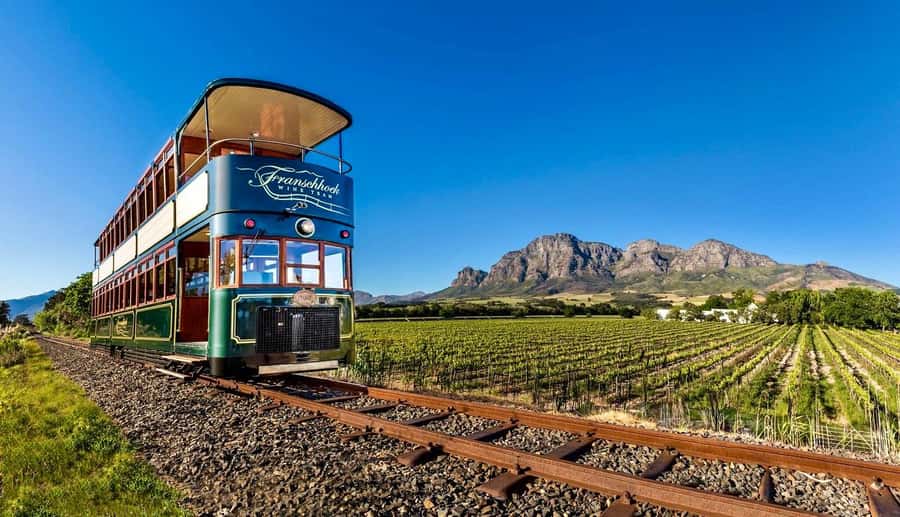 From Cape Town: Winelands Full Day Tour and Wine Tasting - Stellenbosch cellar tour and the wine tasting rhythm