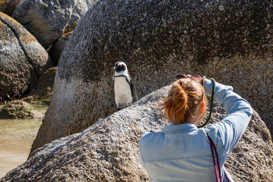 From CapeTown:Full Day Tour to Cape of Good Hope&Cape Point - Cape Point and Cape of Good Hope, Lighthouse Area and Clifftop Exploration