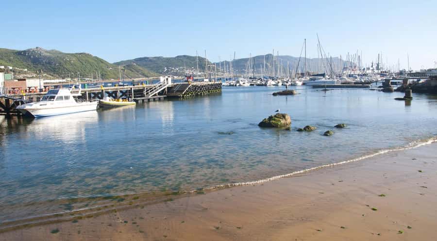 From CapeTown:Full Day Tour to Cape of Good Hope&Cape Point - Along False Bay to Boulders Beach, Penguins Included in the Plan