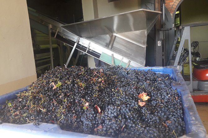 From CapeTown: Stellenbosch Half Day Wine Tour - Price and timing: what your half-day is really buying
