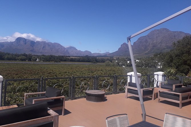 From CapeTown: Stellenbosch Half Day Wine Tour - The guide experience: comfort, pacing, and when English may vary