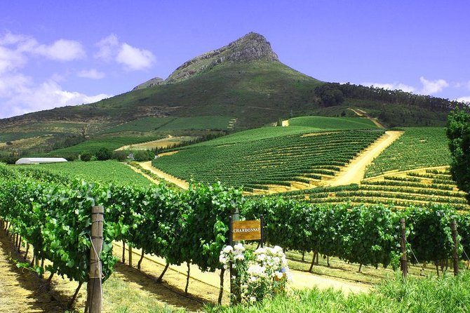 From CapeTown: Stellenbosch Half Day Wine Tour - Weather and the reality of wine-country logistics