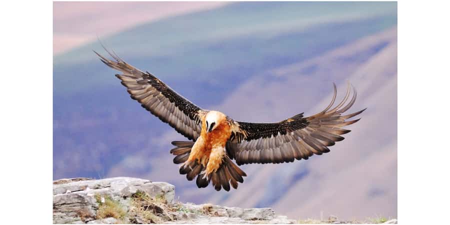 From Durban: 2-Day Lesotho Guided Trip with Lodging & Meals - Key highlights you will actually care about
