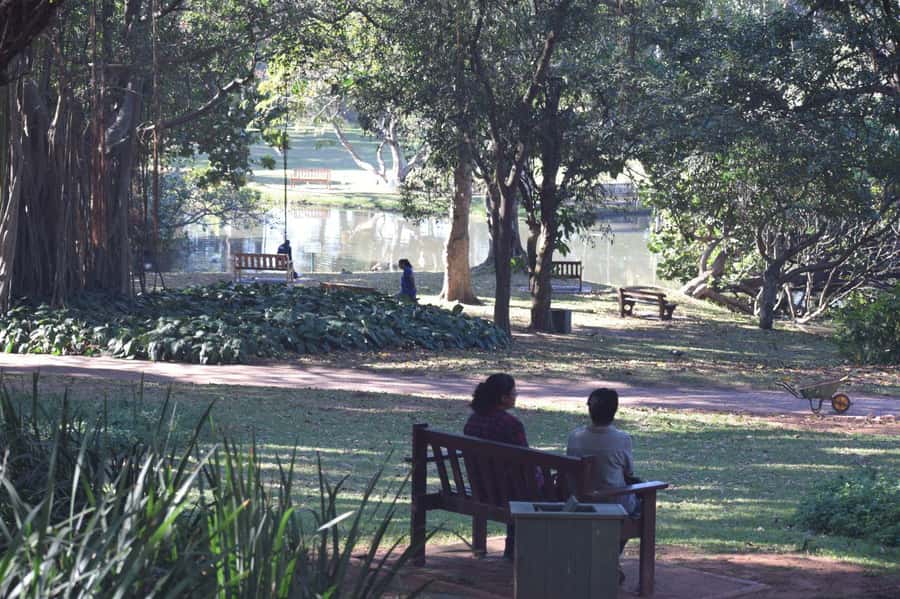From Durban: Half Day Durban City Tour - Durban Botanic Gardens: a cooler pace with real photo opportunities