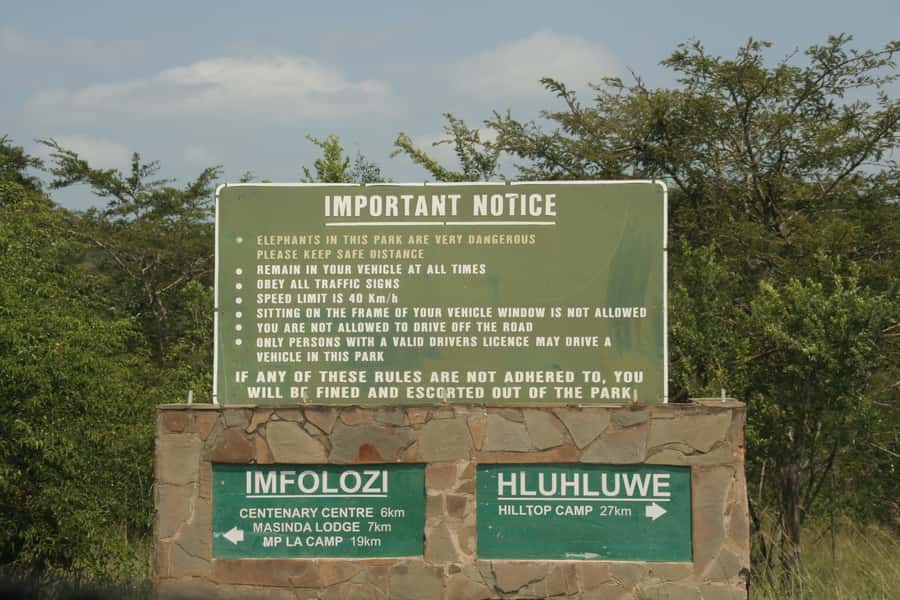 From Durban: Hluhluwe Imfolozi Game Reserve Day Trip - Optional Emtoneni Wild Cat Sanctuary: when you want animals close up