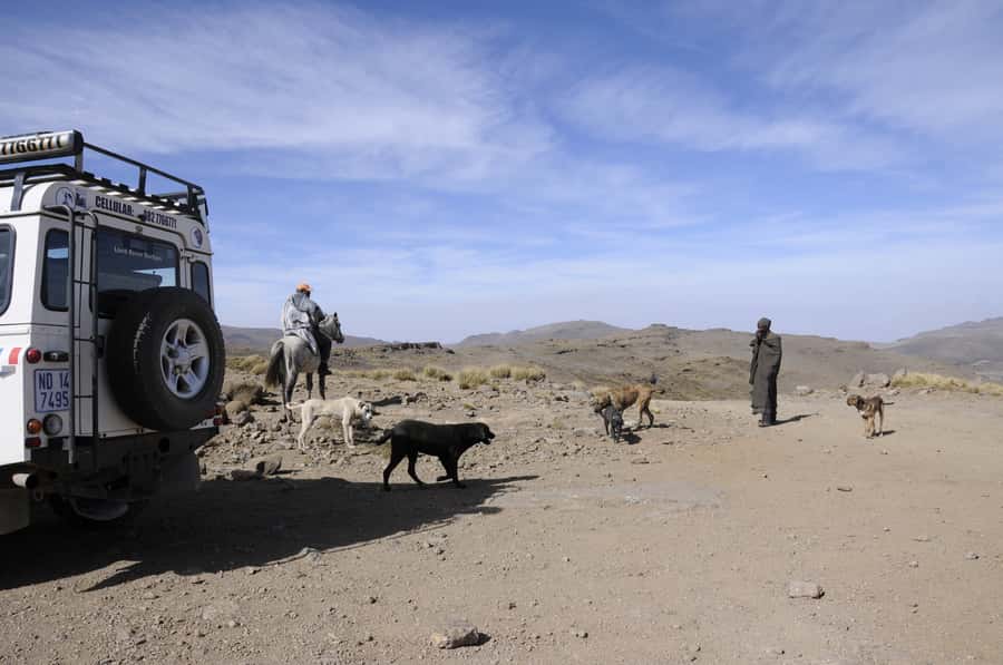 From Durban: Sani Pass and Lesotho by 4WD Vehicle - Who should book this Sani Pass and Lesotho 4x4 day trip
