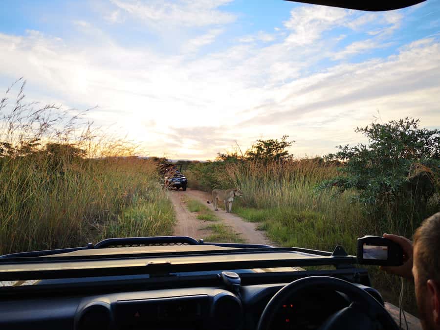From Durban: Wildlife Lovers Big 5 Safari at 2 Game Reserves - Key highlights to look for