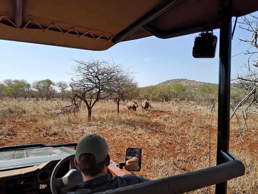 From Durban: Wildlife Lovers Big 5 Safari at 2 Game Reserves - Hilltop Camp lunch stop before Manyoni Private Game Reserve