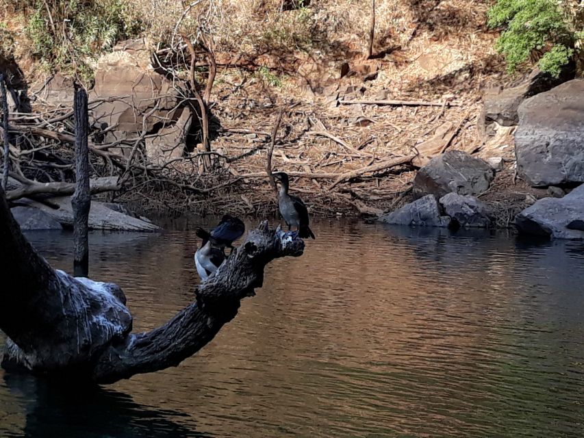 From Hazyview: Blyde River Canyon Highlight & Boat Cruise - Lisbon Waterfalls: when a viewpoint includes more than one show
