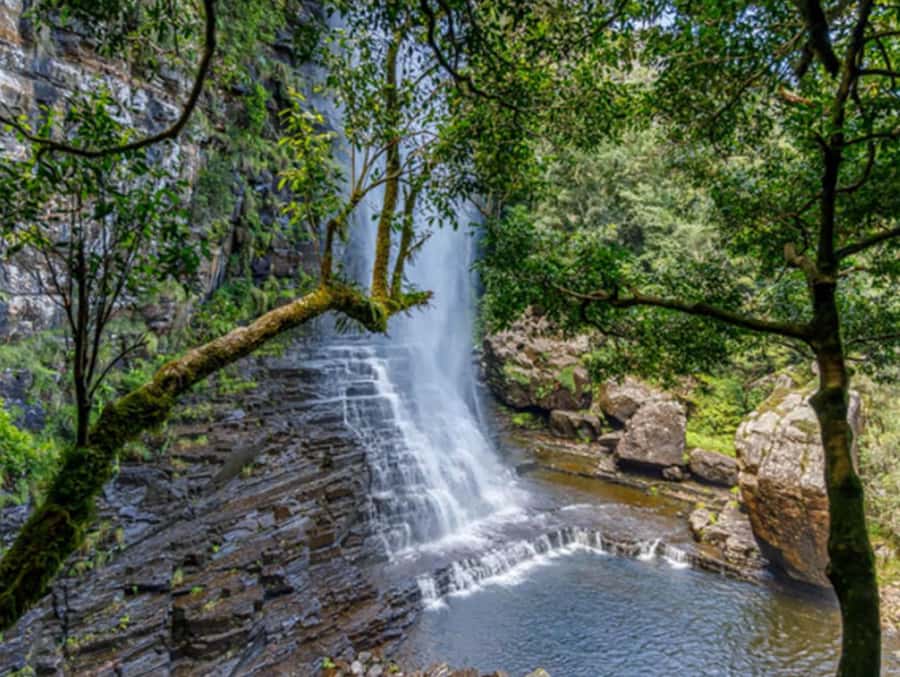 From Hazyview: Full-Day Guided Panorama Tour - Bourke’s Luck Potholes, Treur and Blyde confluence magic