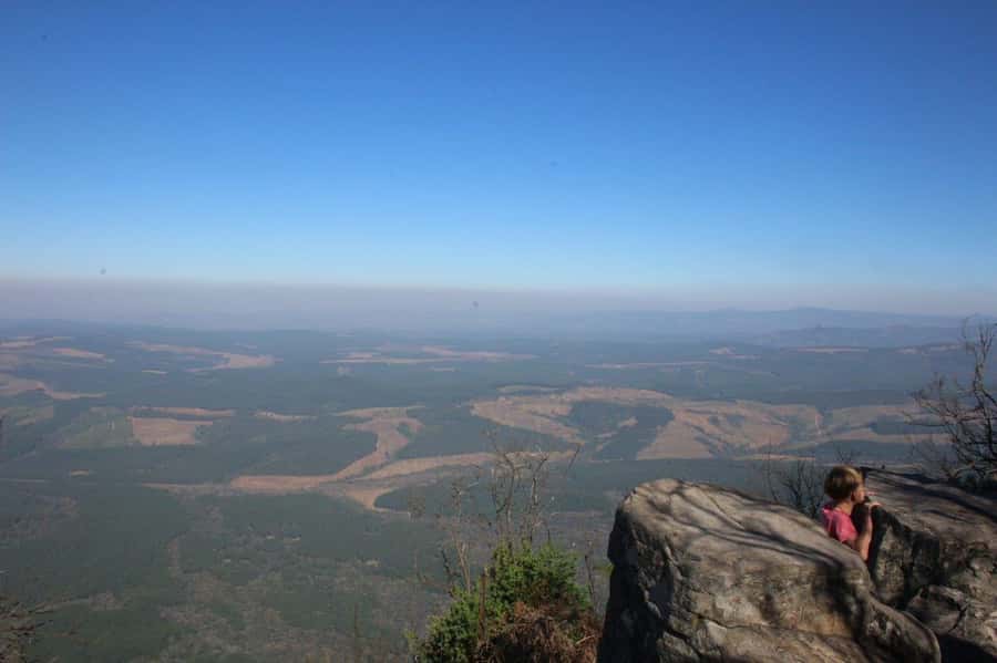 From Hazyview: Full-Day Panorama Route & Gorge Lift Tour - Gorge Lift at Graskop: the highlight if you like action