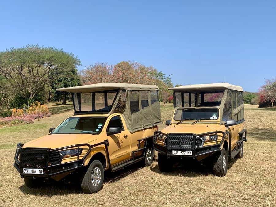 From Hazyview: Kruger National Park Full-Day Safari - Key points to know before you go