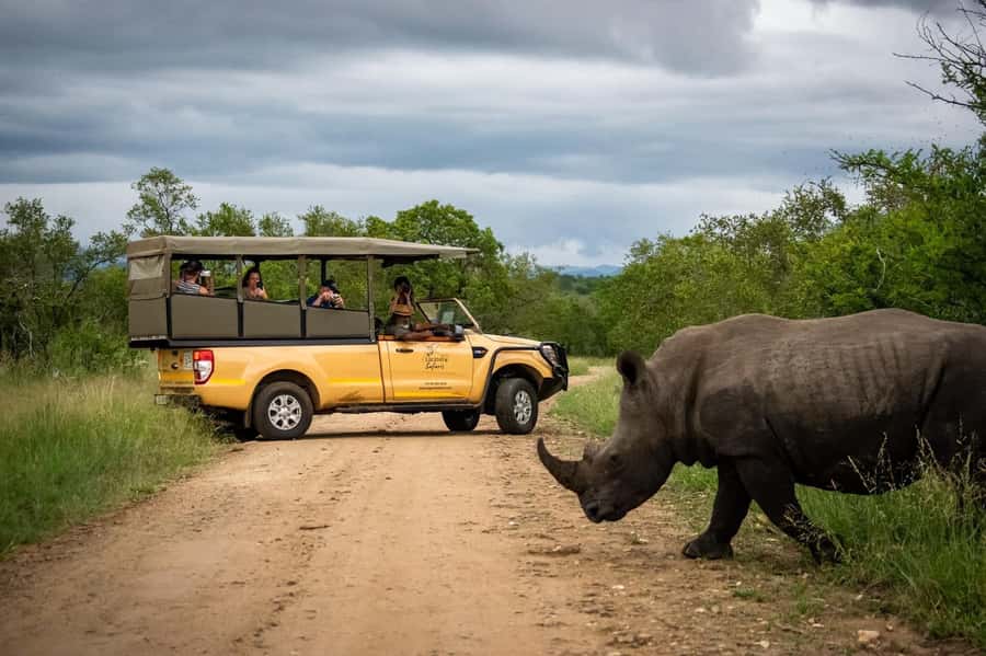 From Hazyview: Kruger National Park Morning Half-Day Safari - Key highlights worth getting excited about