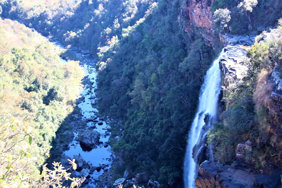 From Hazyview: Panorama Tour Highlights - God’s Window Viewpoint, Why This Stop Usually Makes the Cut