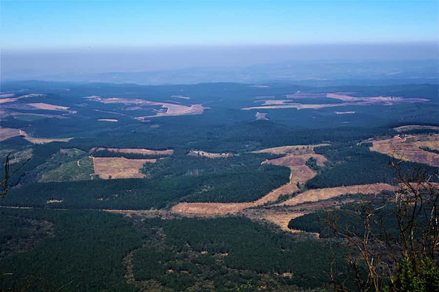 From Hazyview: Panorama Tour Highlights - What to Wear, How to Handle Fog, and Photo Reality Checks