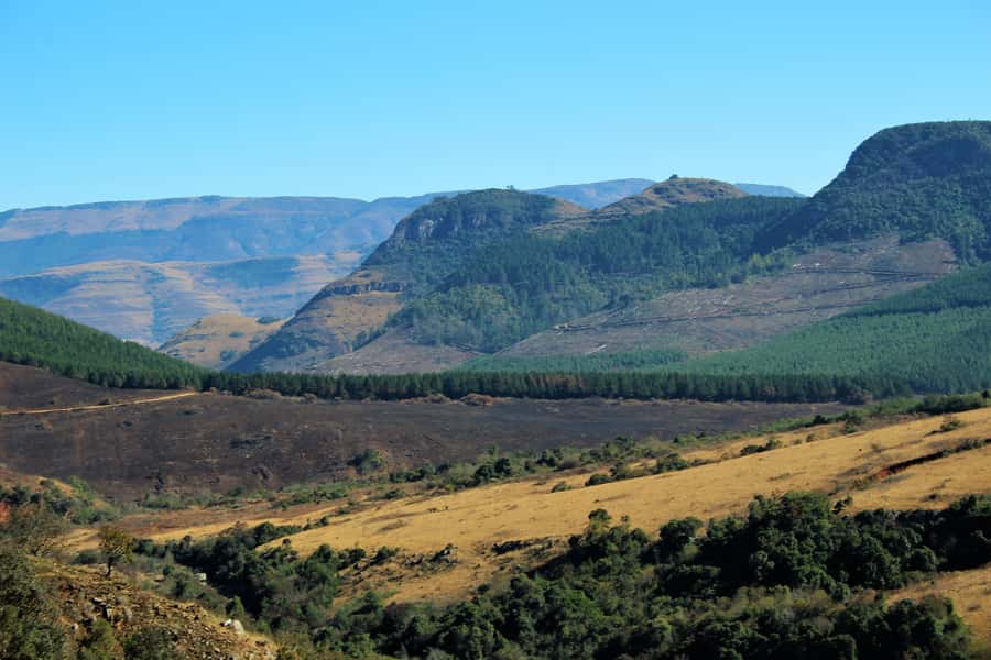 From Hazyview: Panorama Tour Highlights - Getting Picked Up in Hazyview, Then Climbing Toward Graskop