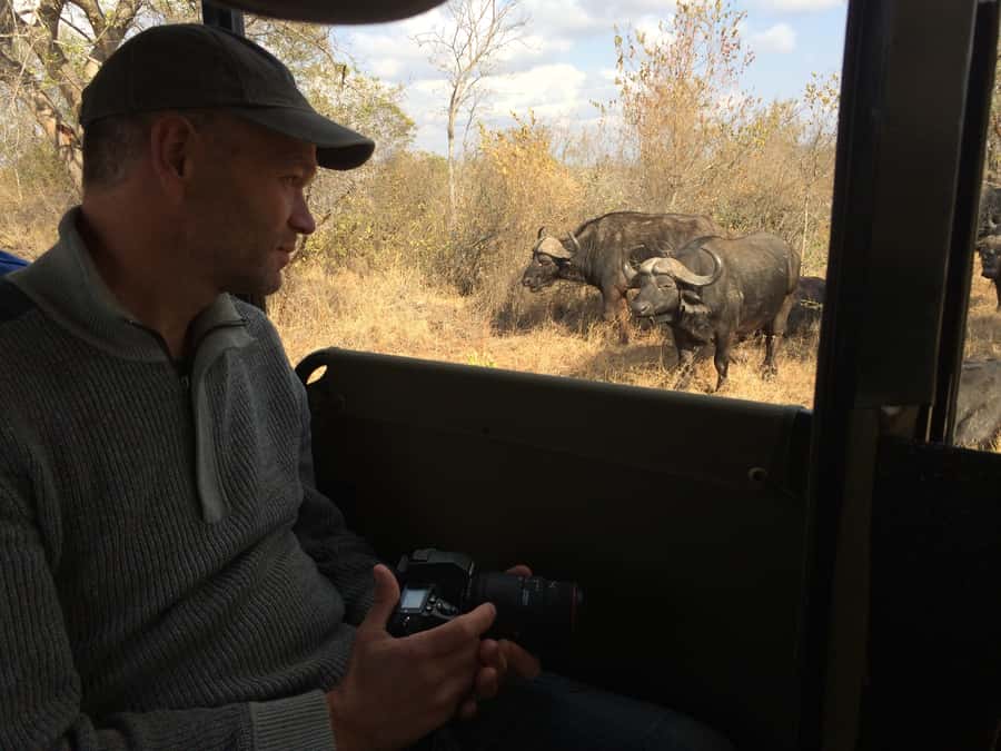 From Hazyview: Private Afternoon Game Drive - Key highlights you will actually care about