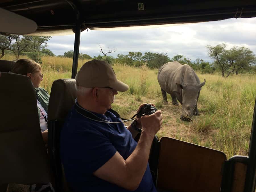 From Hazyview: Private Afternoon Game Drive - How this 5-hour private afternoon schedule plays out
