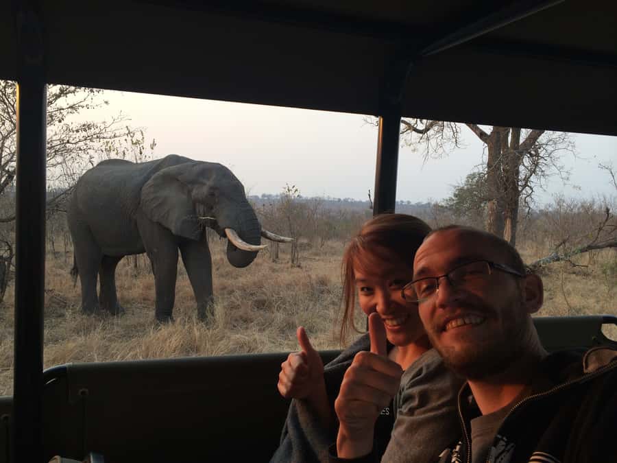 From Hazyview: Private Afternoon Game Drive - How private guiding changes what you notice