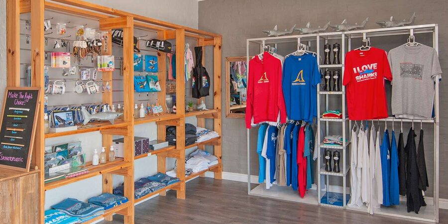 From Hermanus or Cape Town: Shark Cage Diving Experience - Meals, Towels, and Small Comforts After the Water