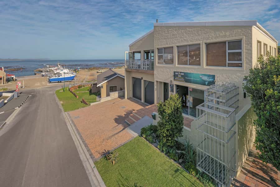 From Hermanus or Cape Town: Shark Cage Diving Experience - Getting There: Cape Town or Hermanus to Gansbaai (Without Chaos)