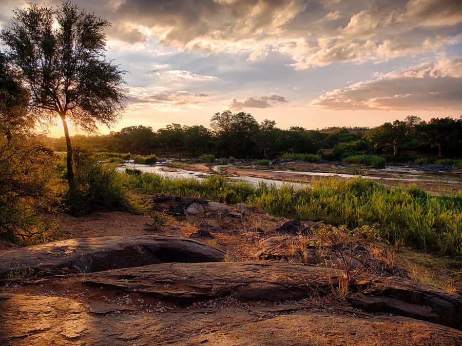 From Johannesburg: 3-Day Budget Tent Kruger Park Safari - Kruger in 3 Days: What You Actually Get