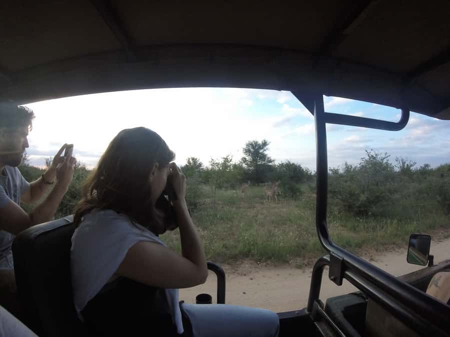 From Johannesburg: 3-Day Budget Tent Kruger Park Safari - Balule Sunset Drive: The Most Cinematic Part of the Trip