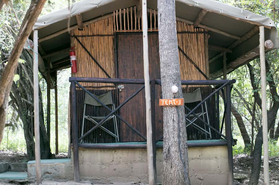 From Johannesburg: 3-Day Budget Tent Kruger Park Safari - Dinner in the African Bush and Campfire Academy’s Big Choice