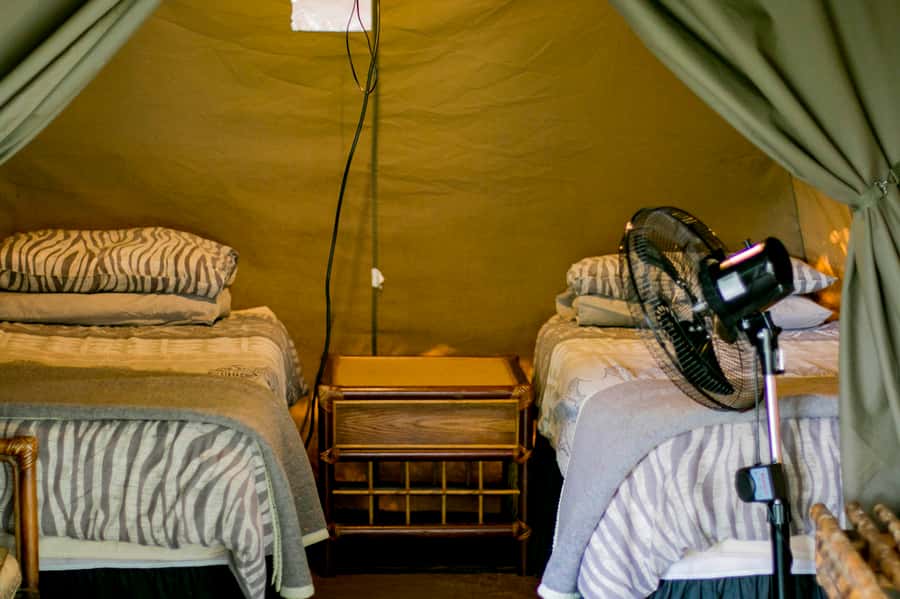 From Johannesburg: 3-Day Budget Tent Kruger Park Safari - Full Day in Kruger From Orpen: Wildlife, Birding, and Rest-Camp Lunches