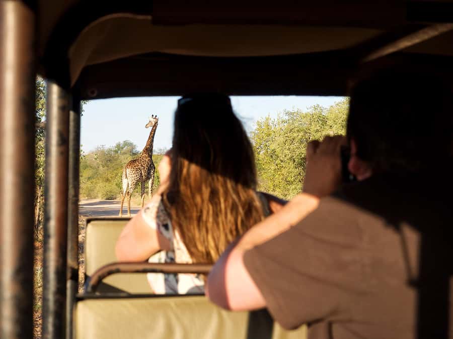 From Johannesburg: 3-Day Budget Tent Kruger Park Safari - Pickup and Transfers From Johannesburg, Plus Why Timing Matters