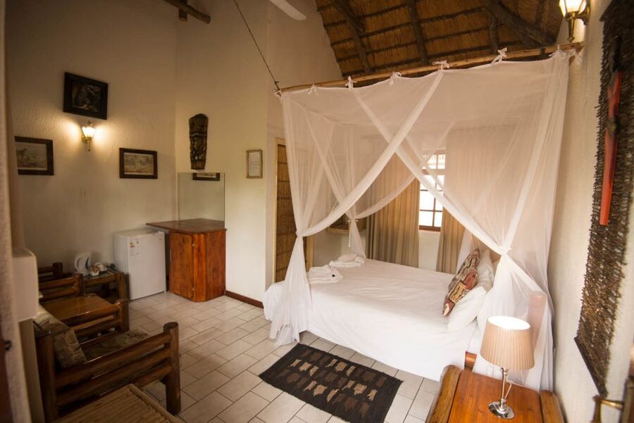 From Johannesburg: 6-Day Classic Kruger National Park Safari - From Johannesburg to Tremisana: transfers, timing, and first sightings