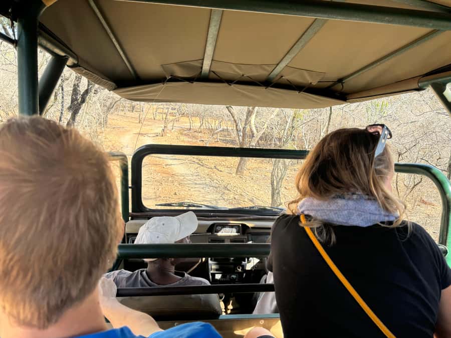 From Johannesburg: Cheetah Tour - About that cheetah run: why it’s special and why you should expect limits