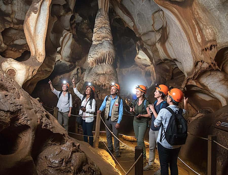 From Johannesburg: Cradle of Humankind and Lion Safari - Key highlights at a glance
