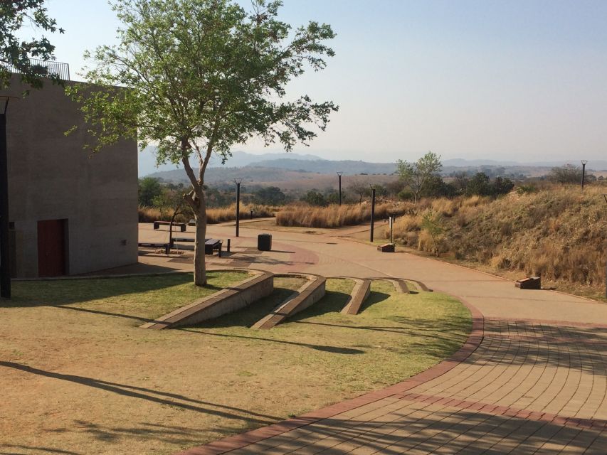 From Johannesburg: Cradle of Humankind and Lion Safari - How the day schedule keeps things moving (and how to cope with travel)