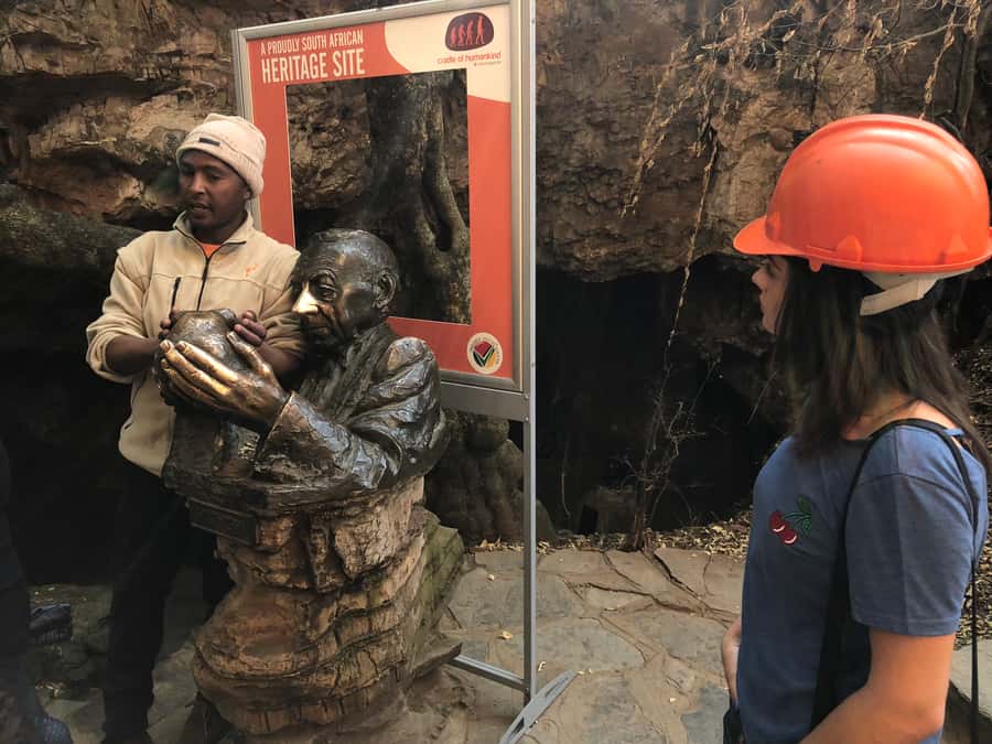 From Johannesburg: Cradle of Humankind and Lion Safari - Lion and Safari Park: open-vehicle viewing with real guide time