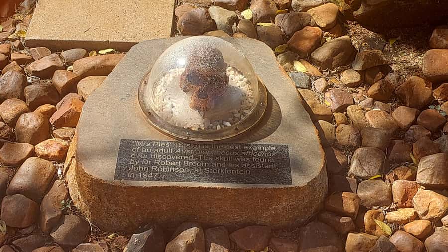 From Johannesburg: Cradle of Humankind Private Half-Day Tour - Why the Cradle of Humankind tour feels different than a normal outing