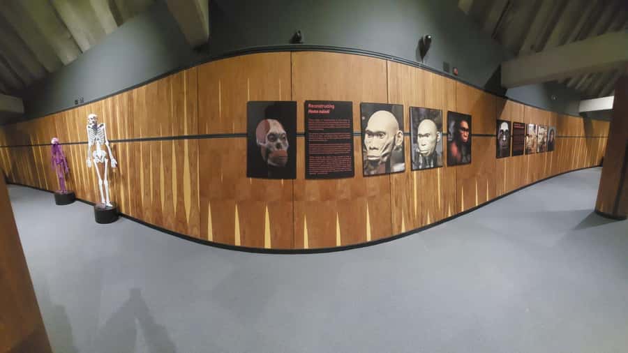 From Johannesburg: Cradle of Humankind Private Half-Day Tour - Maropeng Visitor Centre: where the time scale finally makes sense
