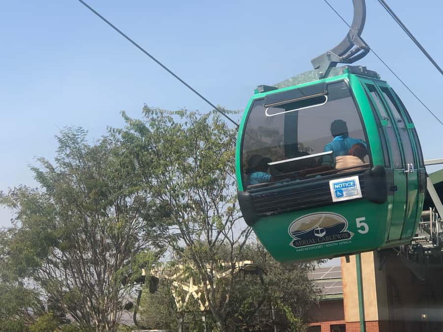 From Johannesburg: Horse-Riding Safari and Cable Car Tour - Who This Tour Is Best For (And Who Should Pass)