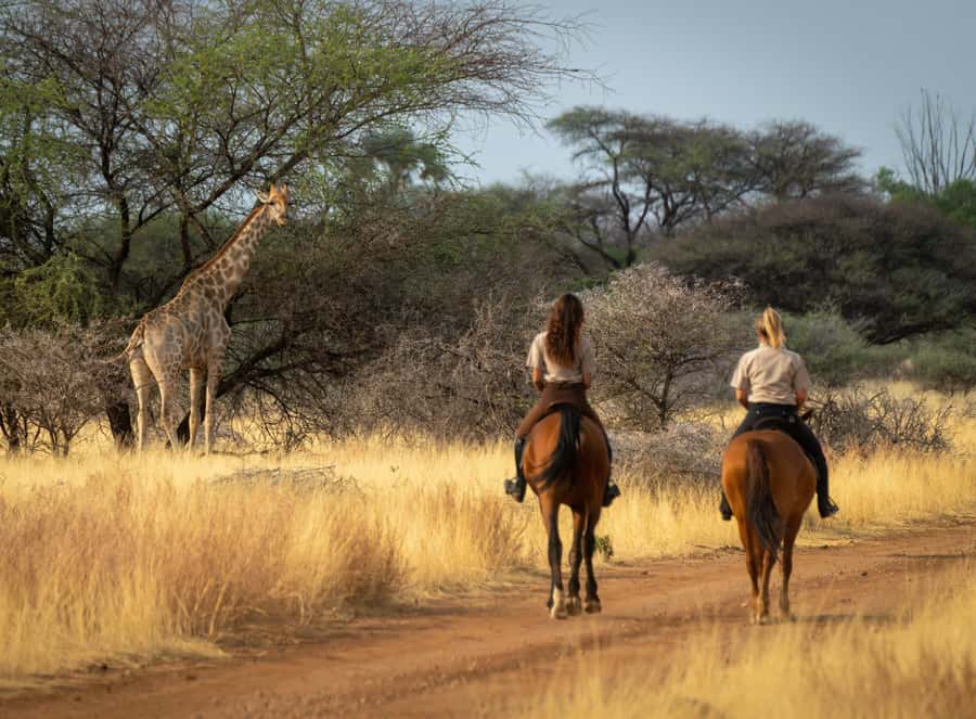 From Johannesburg: Horse-Riding Safari and Cable Car Tour - Why This Horse and Cable Car Combo Works in One Day