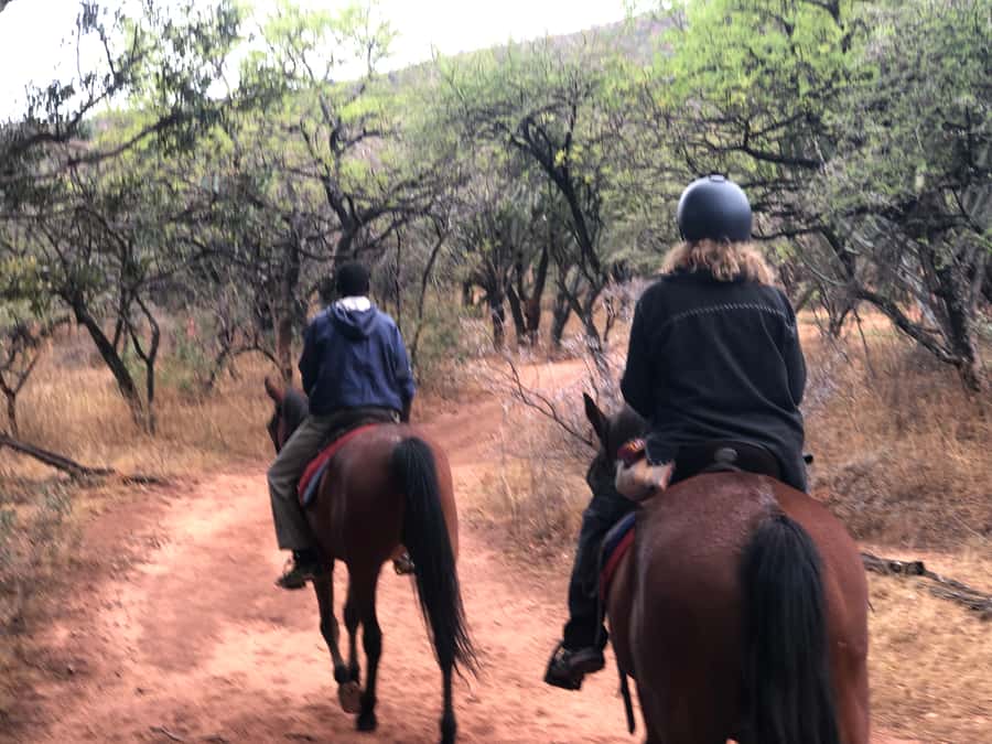 From Johannesburg: Horse-Riding Safari and Cable Car Tour - Magaliesberg Gondola Ride: Views That Actually Change the Mood
