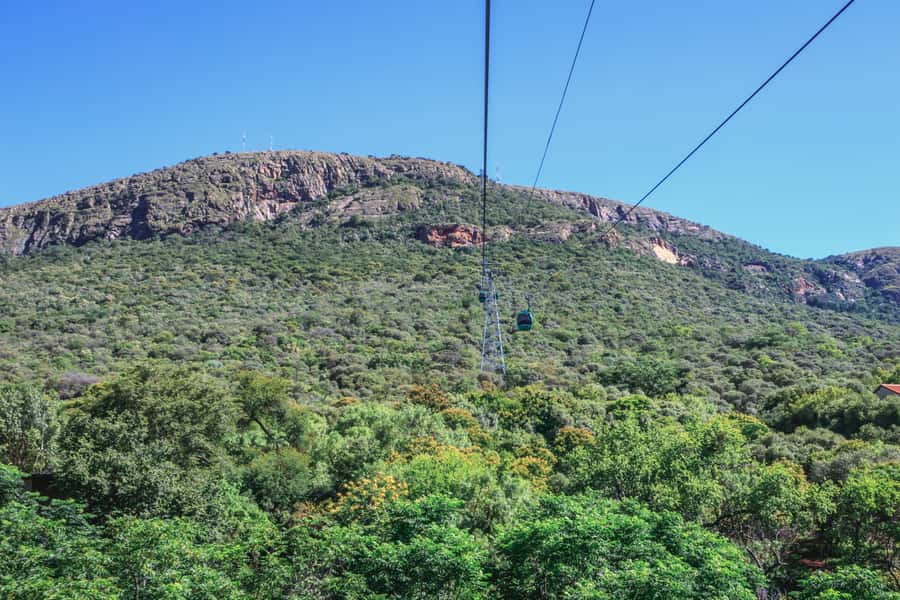 From Johannesburg: Horse-Riding Safari and Cable Car Tour - Small Group Comfort: Why 13 People Matters Here