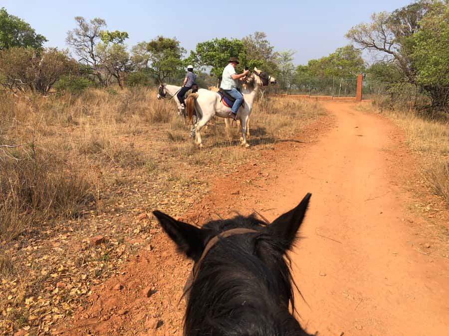From Johannesburg: Horse-Riding Safari and Cable Car Tour - What You Should Bring (And What You Should Skip)