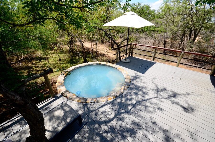 From Johannesburg: Kruger National Park 4-Day Luxury Safari - Day 1: Highveld morning to Tremisana, then Balule at sunset