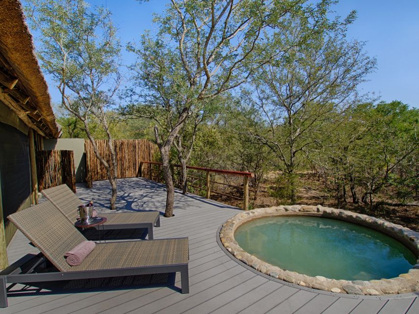 From Johannesburg: Kruger National Park 4-Day Luxury Safari - Day 2: Olifants River sunrise bush walk, plus pool time and a sundowner drive