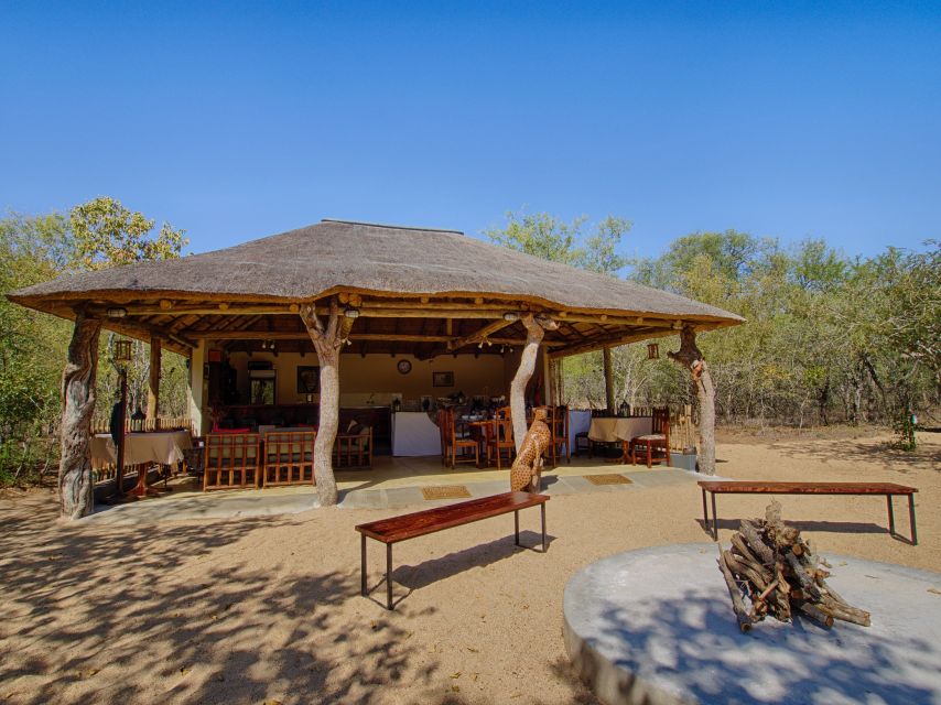 From Johannesburg: Kruger National Park 4-Day Luxury Safari - Day 3: Full day in Kruger from ORPEN gate, with game viewing and birding